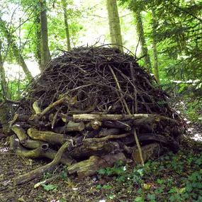 Bild von Les Artisans de L'Arbre Sarl