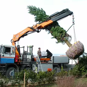 Bild von Les Artisans de L'Arbre Sarl