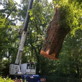 Bild von Les Artisans de L'Arbre Sarl