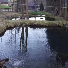 Mayer Nino - Nino's Ländlefisch