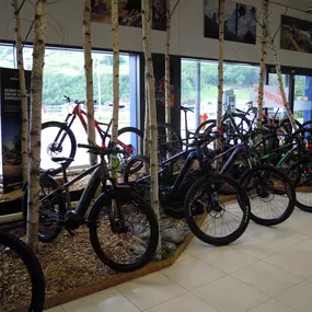 Bild von bike store schwyz