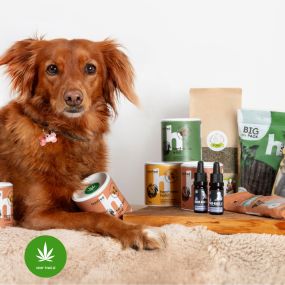 Hanf Hundesnacks - 100% Naturprodukte aus Österreich