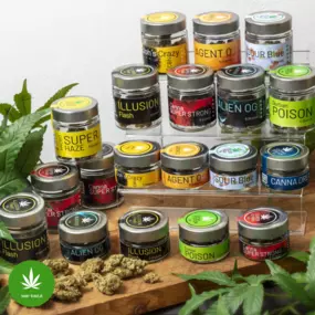 Unser Sortiment an legalen Premium Aroma Hanfblüten und Pollinate