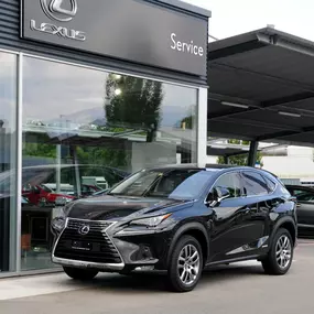 Auto Tempel AG, Lexus