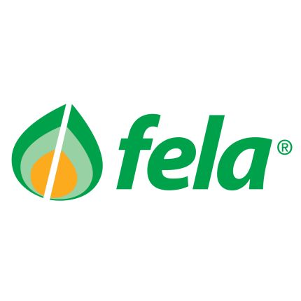 Logo van FELA Ticino SA