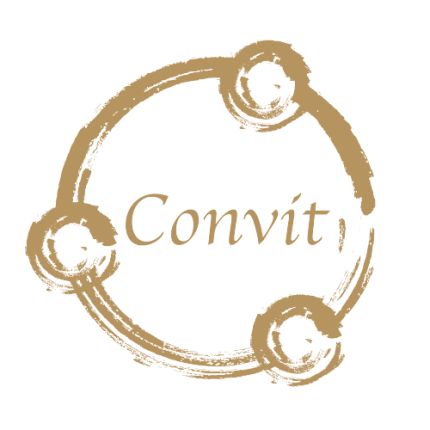 Logotipo de Convit Central GmbH