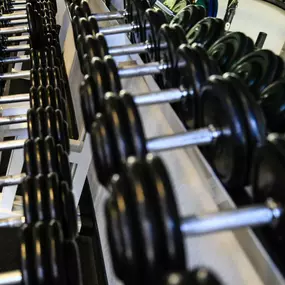 Daytona Gesundheitszentrum GmbH Fitness & Praxis mit Charme