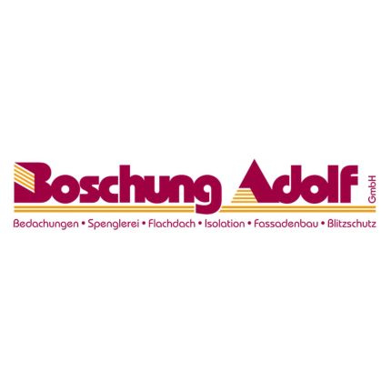 Logo fra Boschung Adolf GmbH