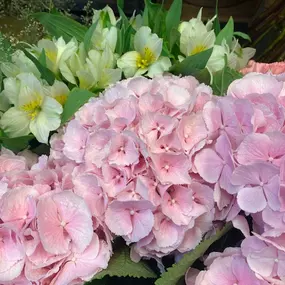 Bild von Fleur Evasion Sàrl