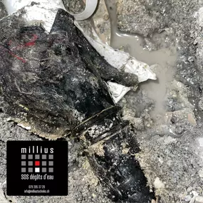 Bild von MILLIUS SOS DEGÂTS DES EAUX - RECHERCHE DE FUITE 24/7