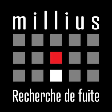 Logo from MILLIUS SOS DEGÂTS DES EAUX - RECHERCHE DE FUITE 24/24