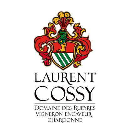 Logo from Domaine des Rueyres - Laurent Cossy