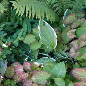 Bild von Gartenbau Meister AG