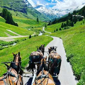 Bild von Clalüna-Sils Kutschenfahrten