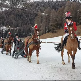 Bild von Clalüna-Sils Kutschenfahrten