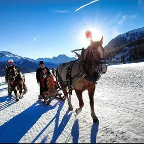 Bild von Clalüna-Sils Kutschenfahrten