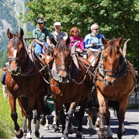 Bild von Clalüna-Sils Kutschenfahrten