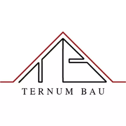 Logotipo de Ternum Bau OG