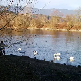 Bild von Seeland Camp Campingplatz