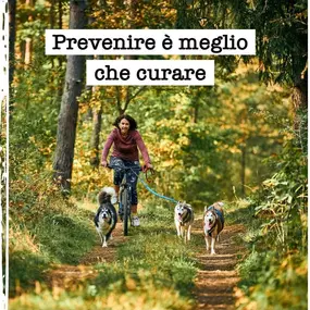 Bild von Farmacia San Salvatore SA