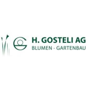 Bild von H. Gosteli AG