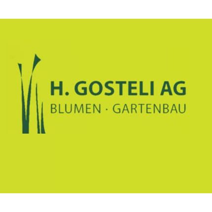 Logotyp från H. Gosteli AG