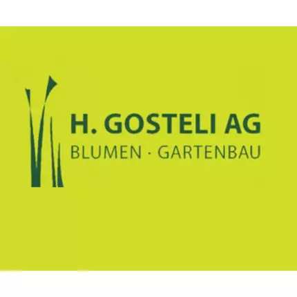 Logo fra H. Gosteli AG