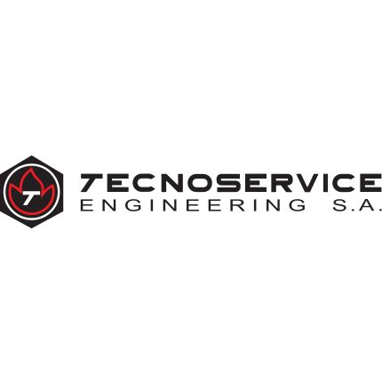 Logo from Tecnoservice Engineering SA
