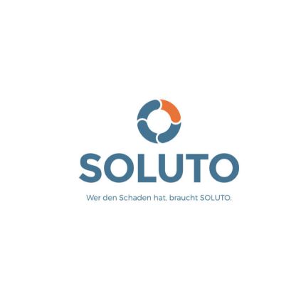 Logo from Sztriberny Sanierungs GmbH - Partner im SOLUTO Franchise-System
