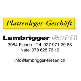 Bild von Plattenlegergeschäft Lambrigger GmbH