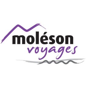 Bild von Moléson Voyages SA