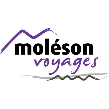 Logo da Moléson Voyages SA