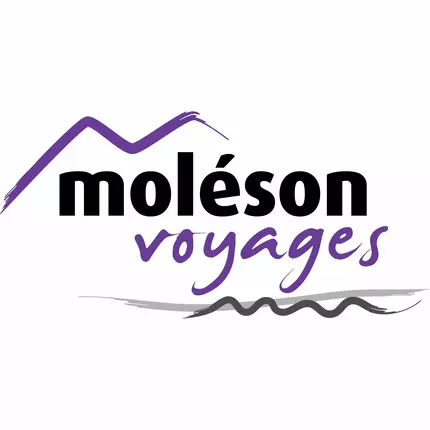 Logotipo de Moléson Voyages SA