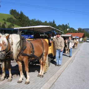 Schatzberg-Haus Auffach - Mit der Pferdekutsche geht es zum Kräutergarten auf dem hoch gelegenen Bergbauernhof