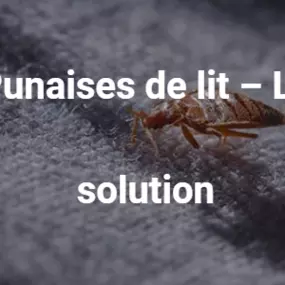 Bild von ABA, R. Python