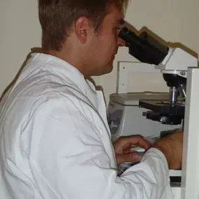 Dr. Werner Schober