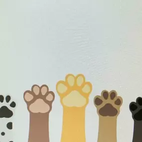Bild von La Vigie Riviera Pet Grooming