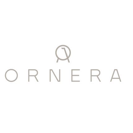 Logo da Ornera SA