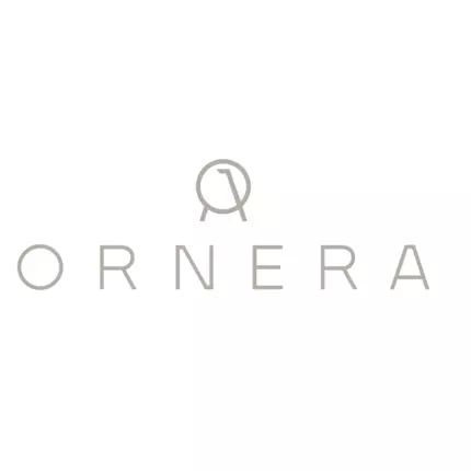 Logo da Ornera SA