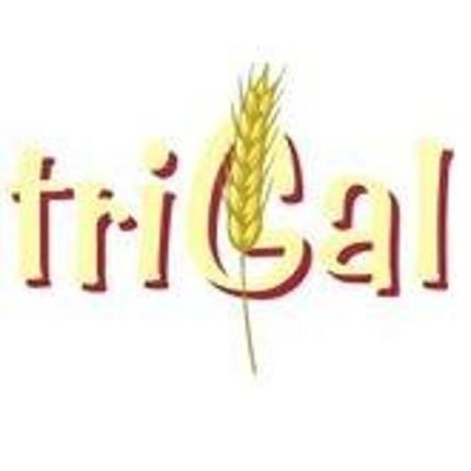 Logo da Restaurant Trigal