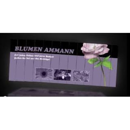 Logo da Blumen Ammann