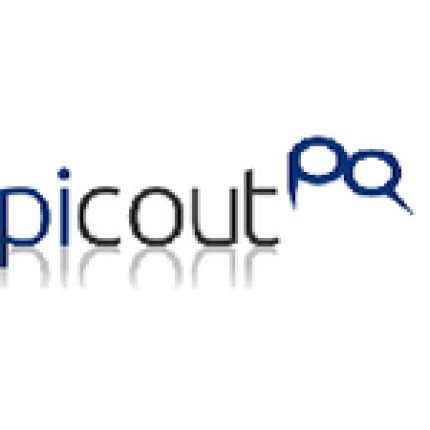 Logo fra Picout Übersetzungs-GmbH