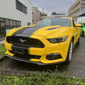 Bild von Auto Götte AG