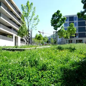 Bild von GGZ Gartenbau