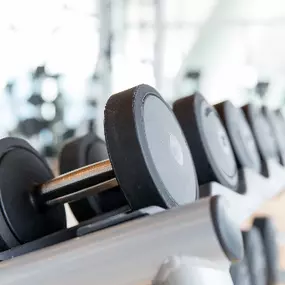 Bild von physio8 fitness8 diagnostik8 AG