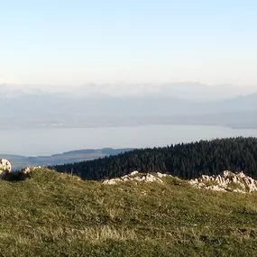 Bild von Auberge aux deux sapins