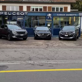 Bild von Peugeot Garage Zambotti