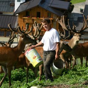 Gasthof Kleefeld Wildtierpark