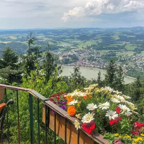 Blick auf Grein vom Brandstetterkogel-Schutzhaus