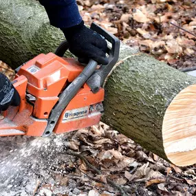 Bild von Eredi Nicoli Impresa Forestale